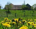 Kräuterfelder vor dem Wegwartehof